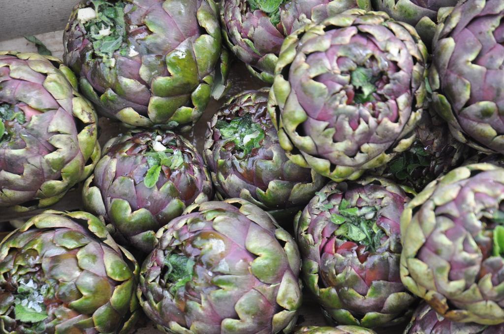 La Culla Dei Castelli Romani Velletri Bagian luar foto
